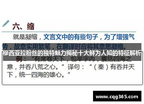 穆西亚拉粉丝的独特魅力揭秘十大鲜为人知的特征解析