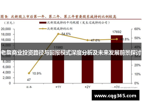 老詹商业投资路径与回报模式深度分析及未来发展前景探讨