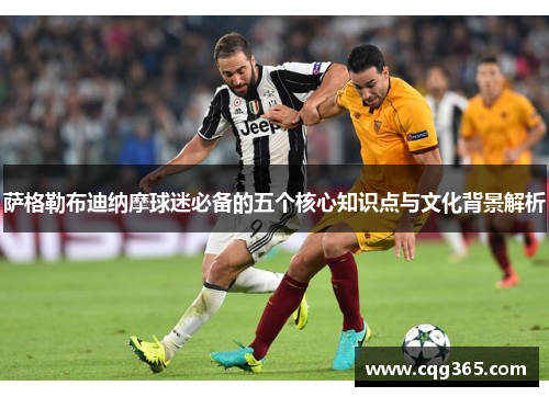 萨格勒布迪纳摩球迷必备的五个核心知识点与文化背景解析